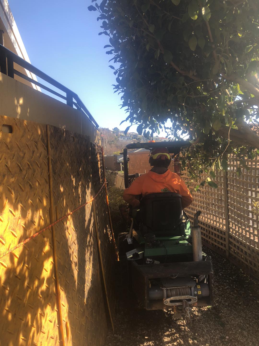 Charlie's Tree Service | South Hobart TAS