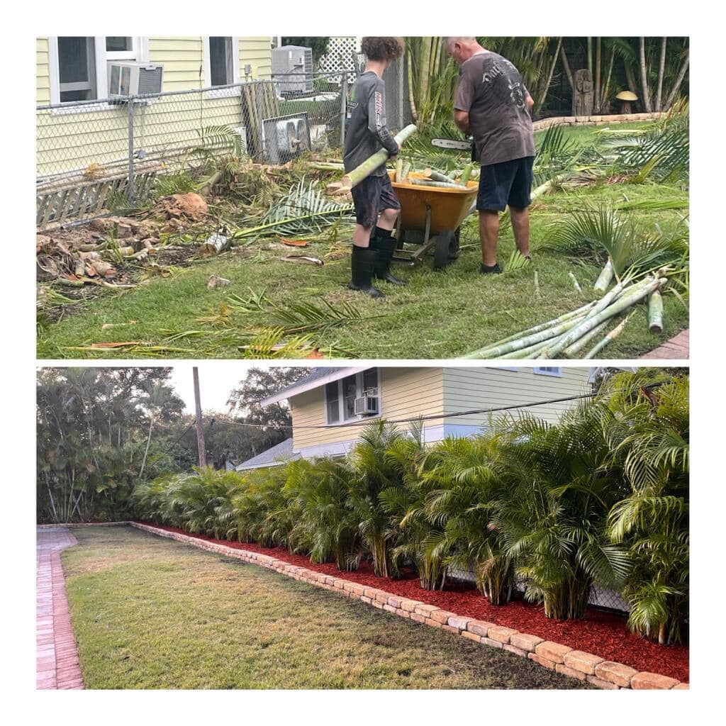 CPL Tree Service and Landscaping | Pinellas Park FL