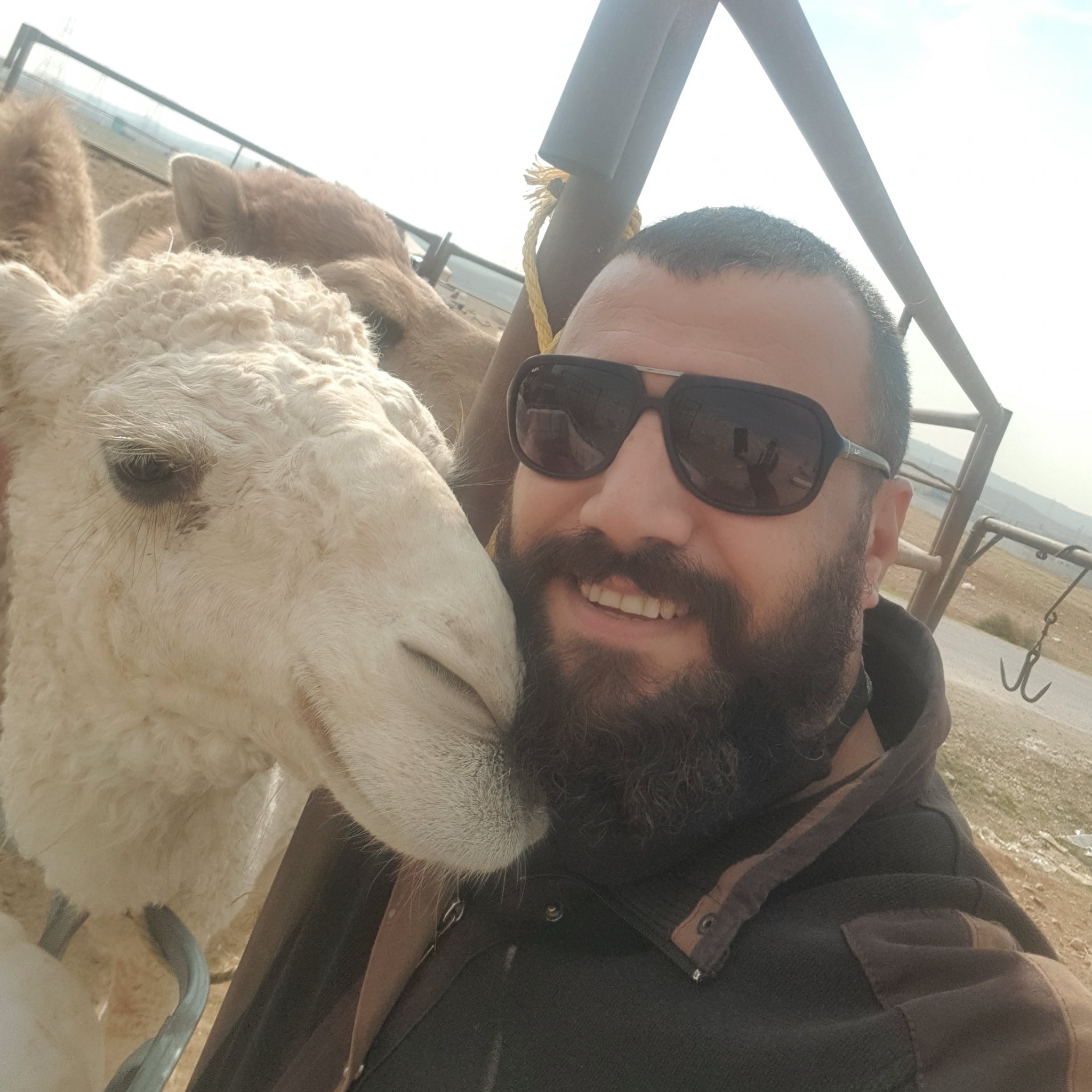 ‎أَفَل... - أَفَلَا يَنظُرُونَ إِلَى الْإِبِلِ كَيْفَ خُلِقَتْ