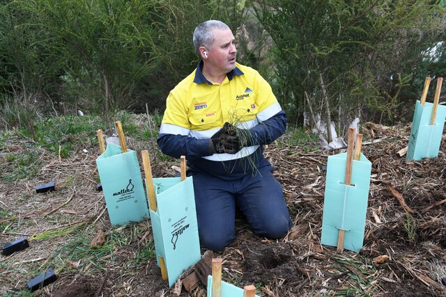 AusNet - 🌳 We’re proud to support Landcare Australia and... | Facebook