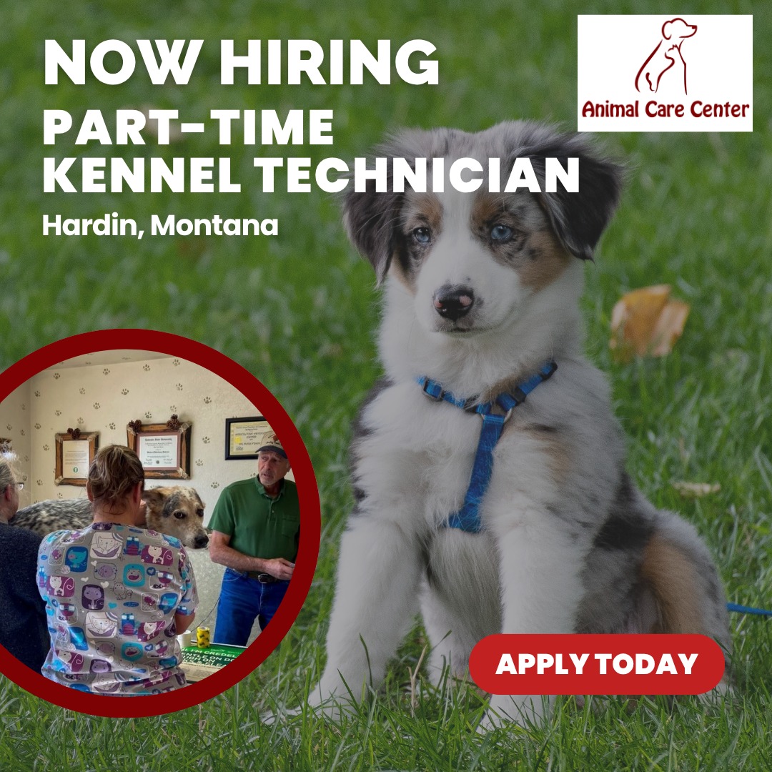 What is a Kennel Tech: Essential Role in Pet Care Explained