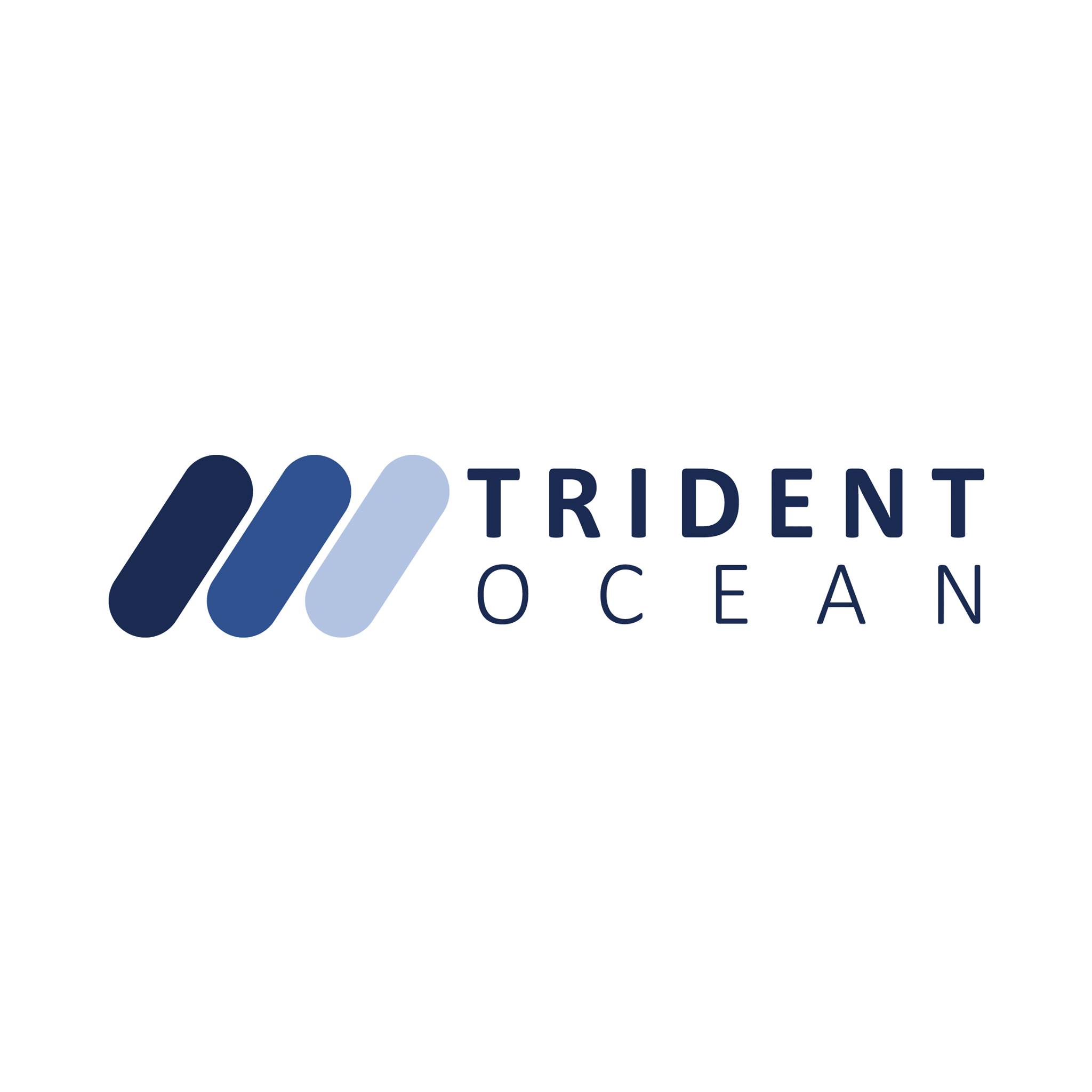 Trident - 샬럿 소방서가 Deep Trekker REVOLUITON ROV의 도움을 받아 안전하고 효율적인 임무를 ...