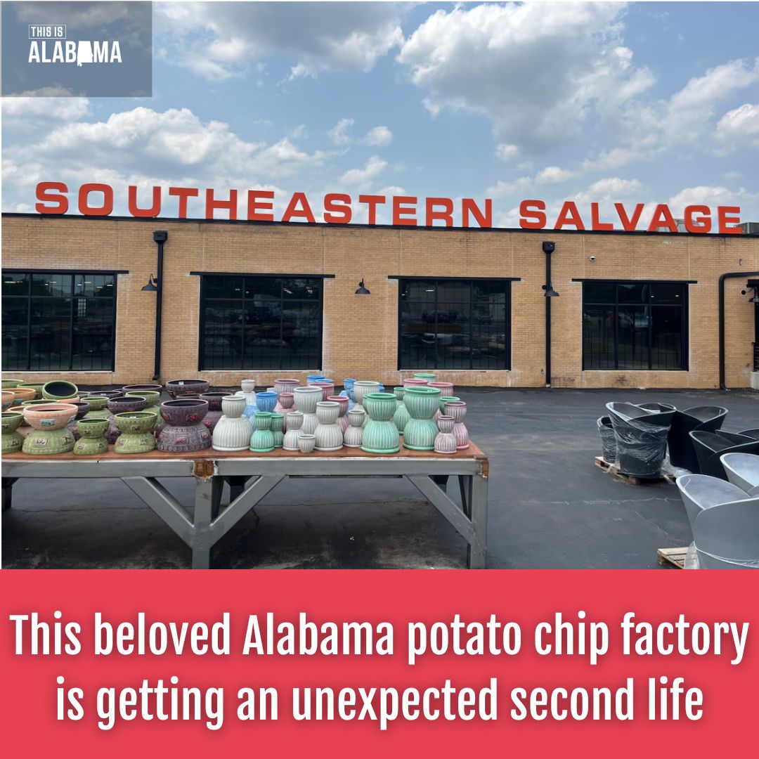 This - 🔗: https://www.al.com/life/2025/06/this-beloved-alabama-potato ...