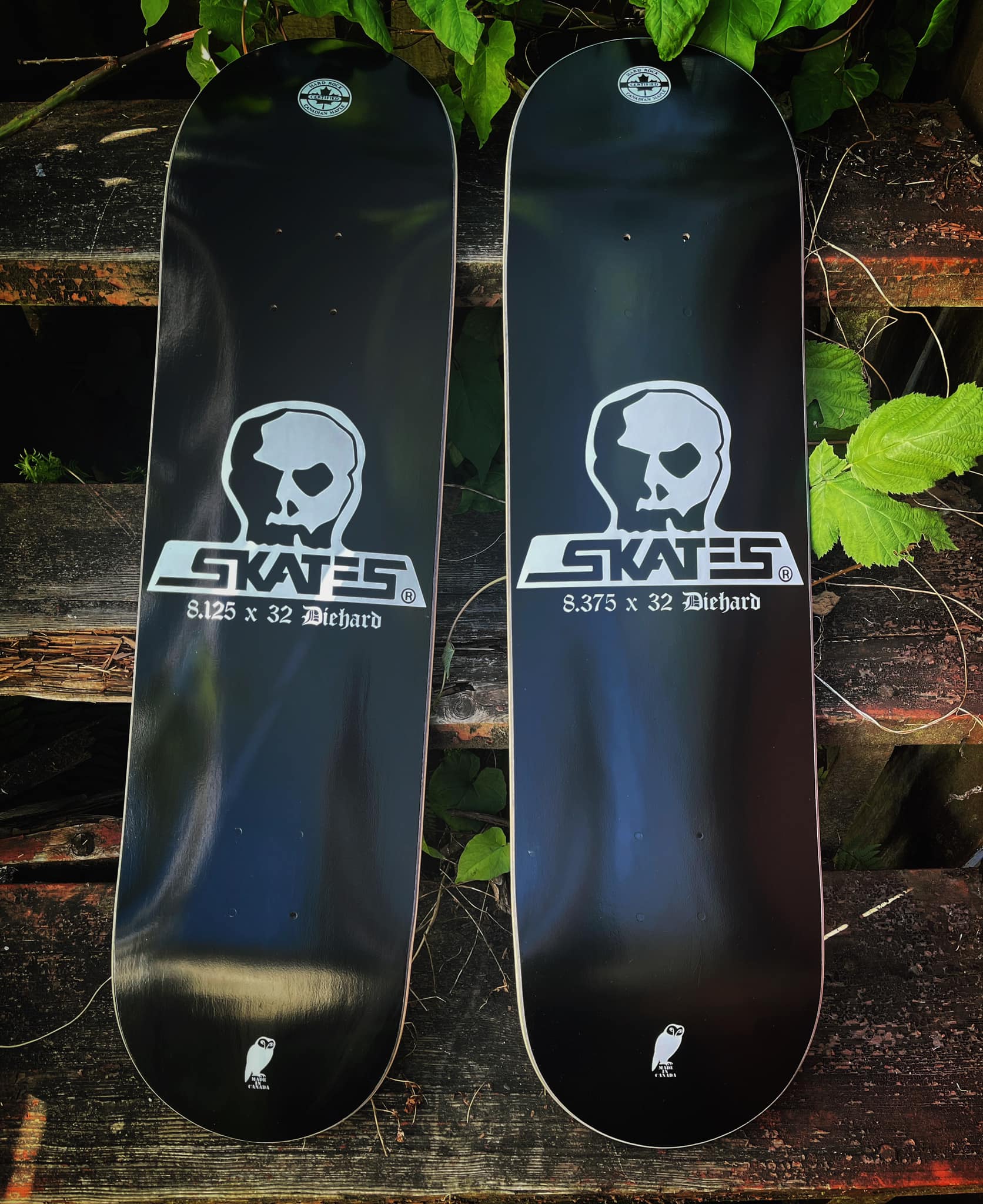 Skull Skates | Facebook