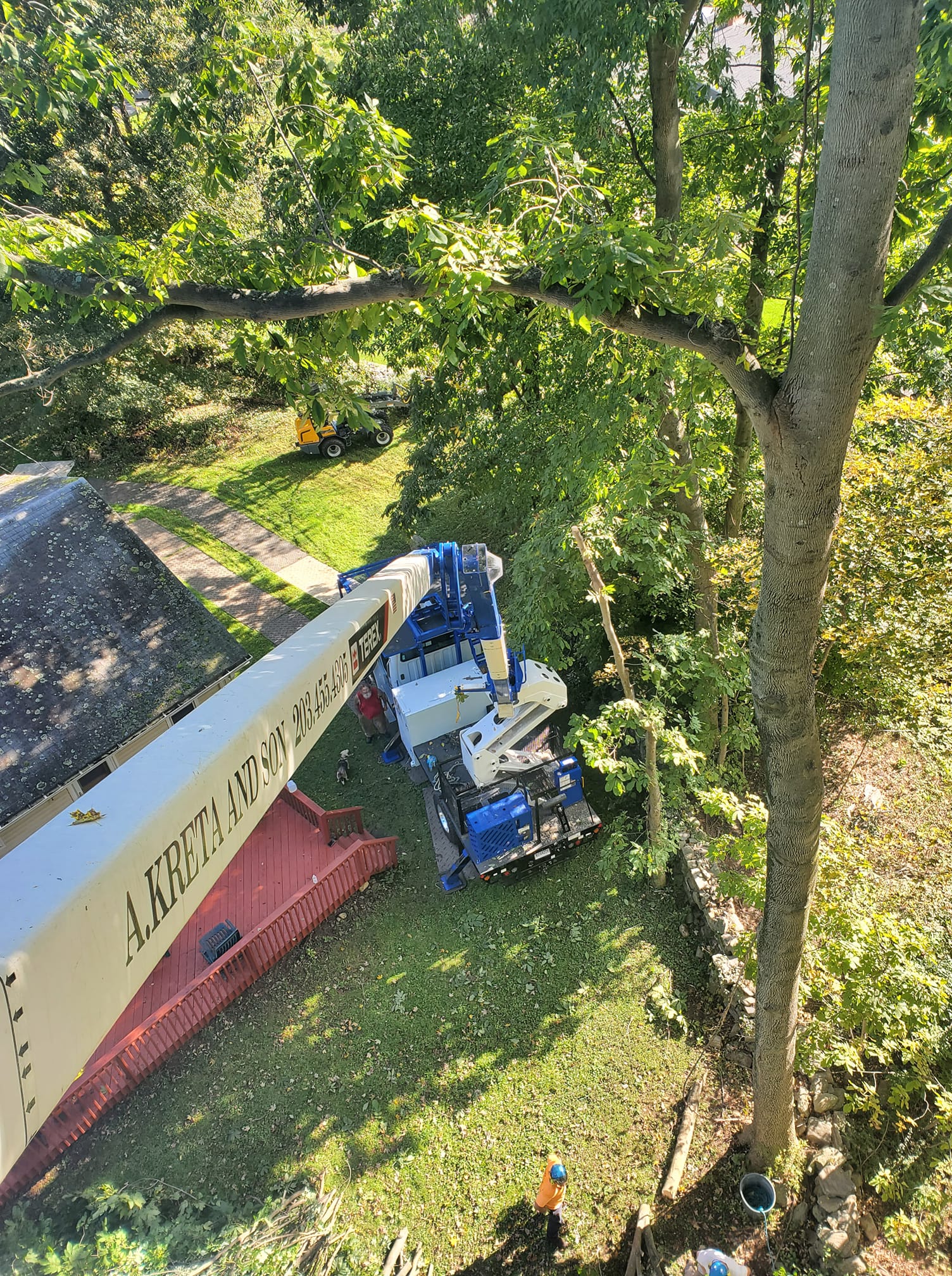 Arbor Rich Tree Service Toms River NJ, Brick NJ and Surrounding Areas ...
