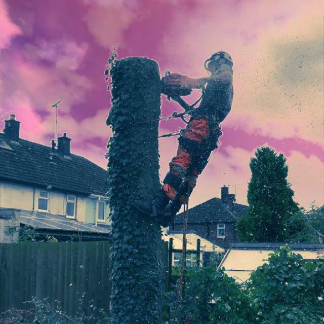 Jones Logging Market Harborough