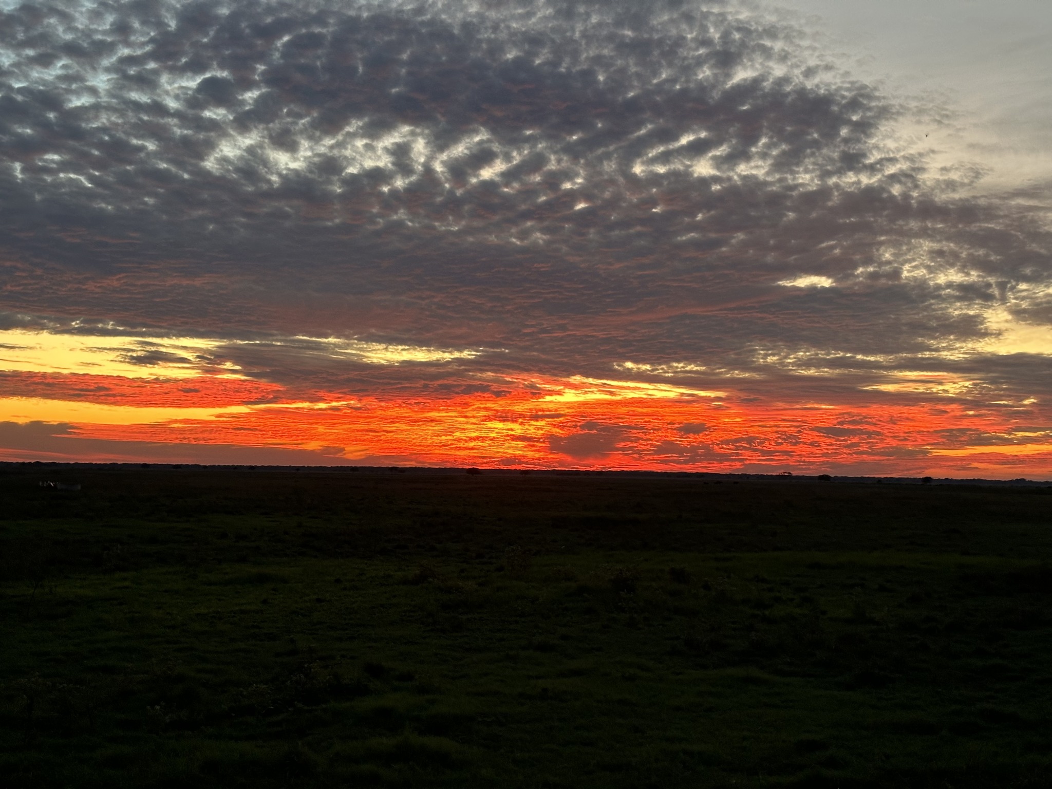 Rocking 711 Ranch | Edna TX