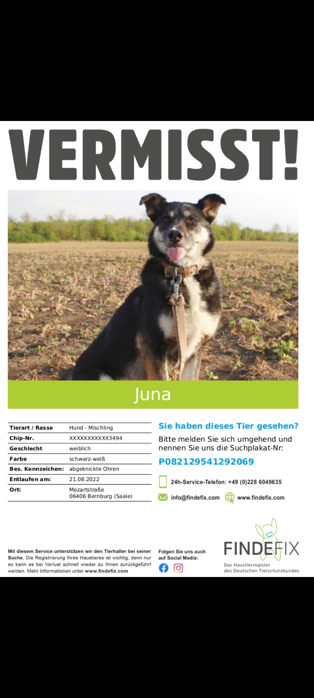 Tierheim - +++ update +++ VERMISST ️ Wie mitgeteilt wurde, wird der ...