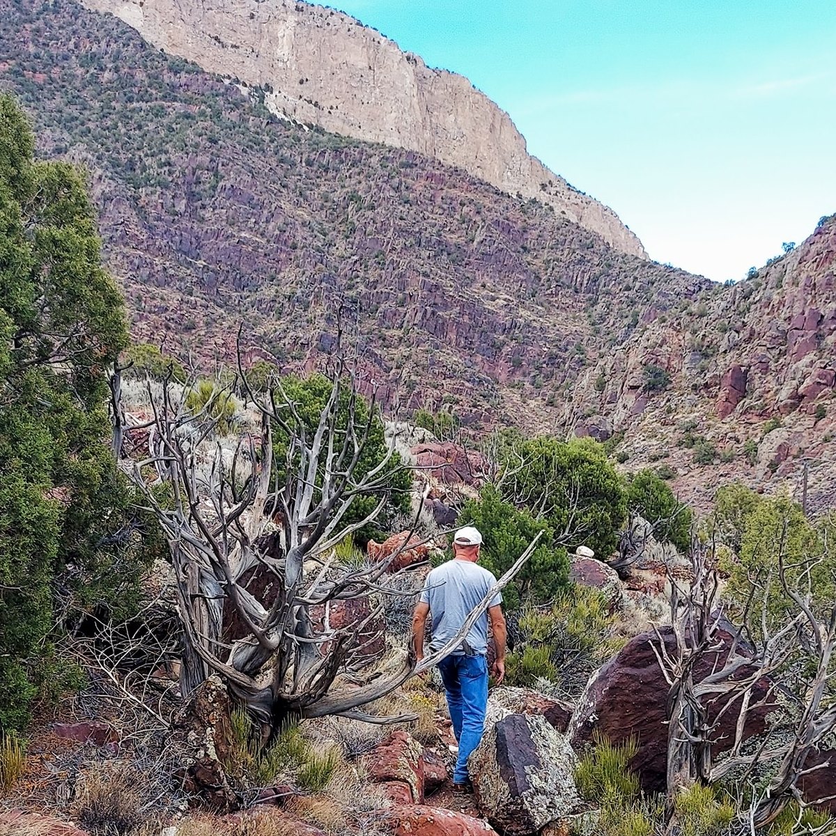 Thanks to all the incredible vendors... - Cold Hardy Cactus | Facebook