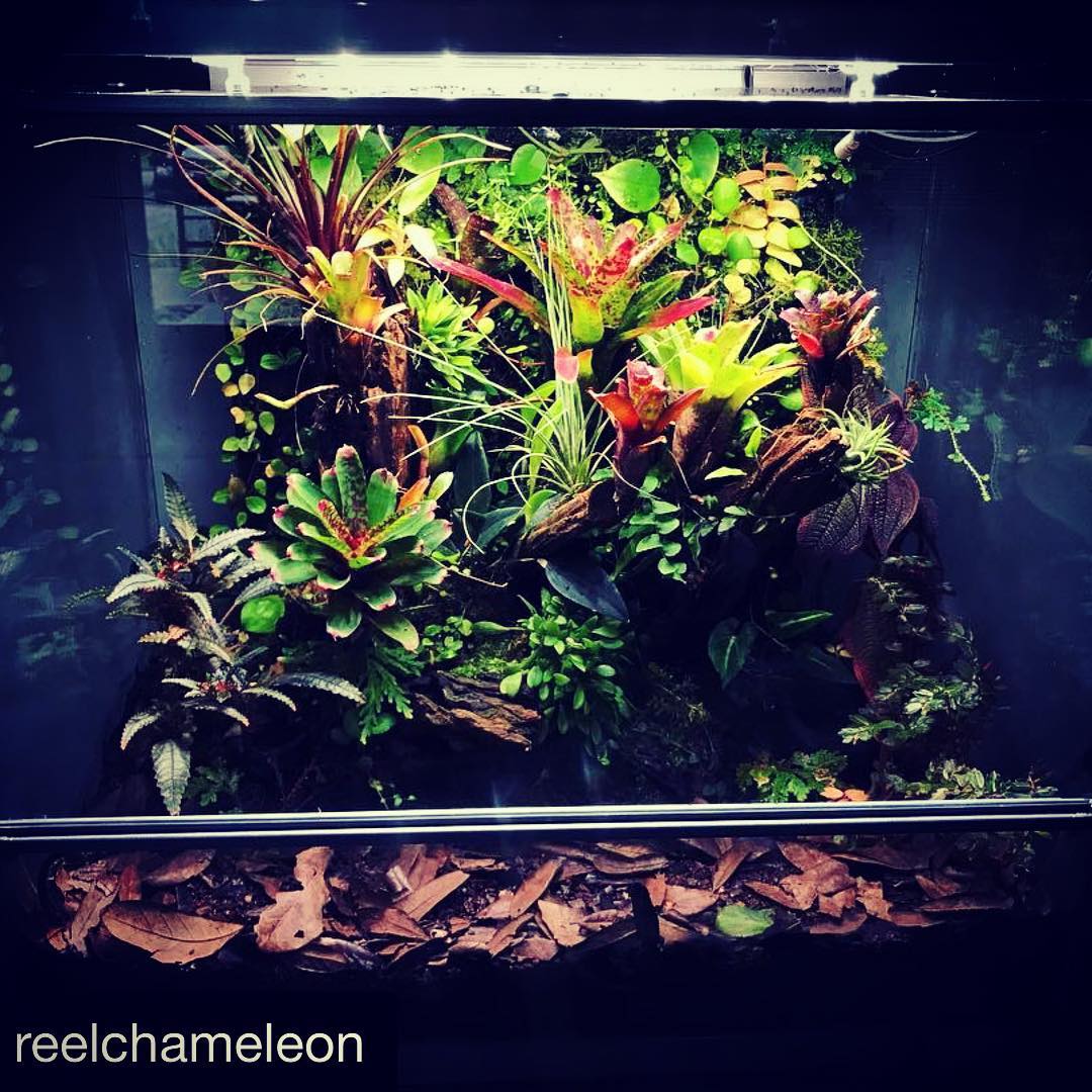 biopod