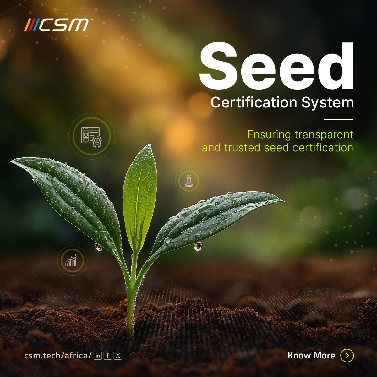 CSM Tech Africa - The Seed Certification System enables... | Facebook