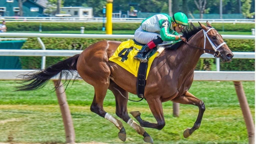 Brett Baker Racing Stables - After a 'Jockey issue' postponed the race ...