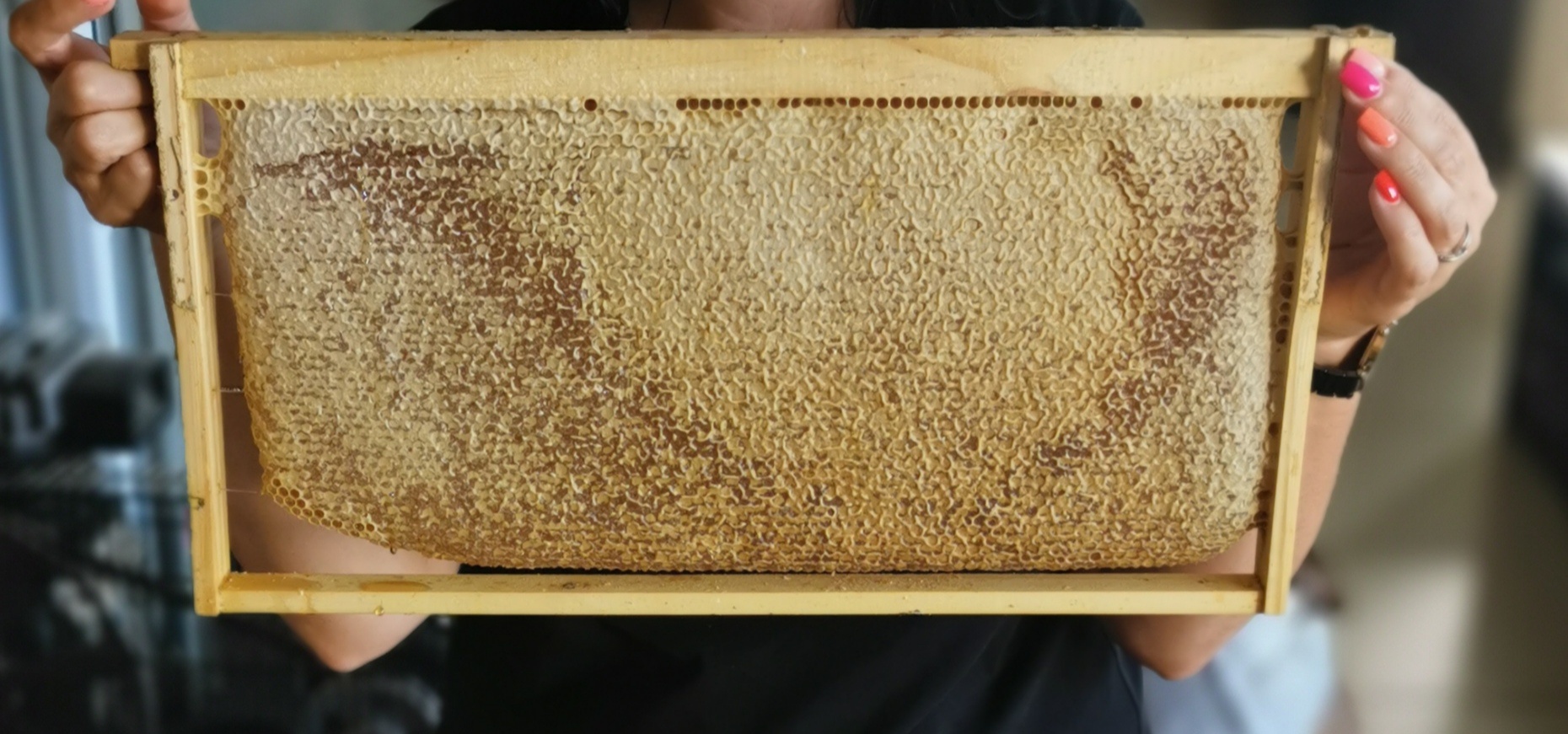 oh-honey-comb-i-have-a-few-the-beekeeper-cape-town-facebook
