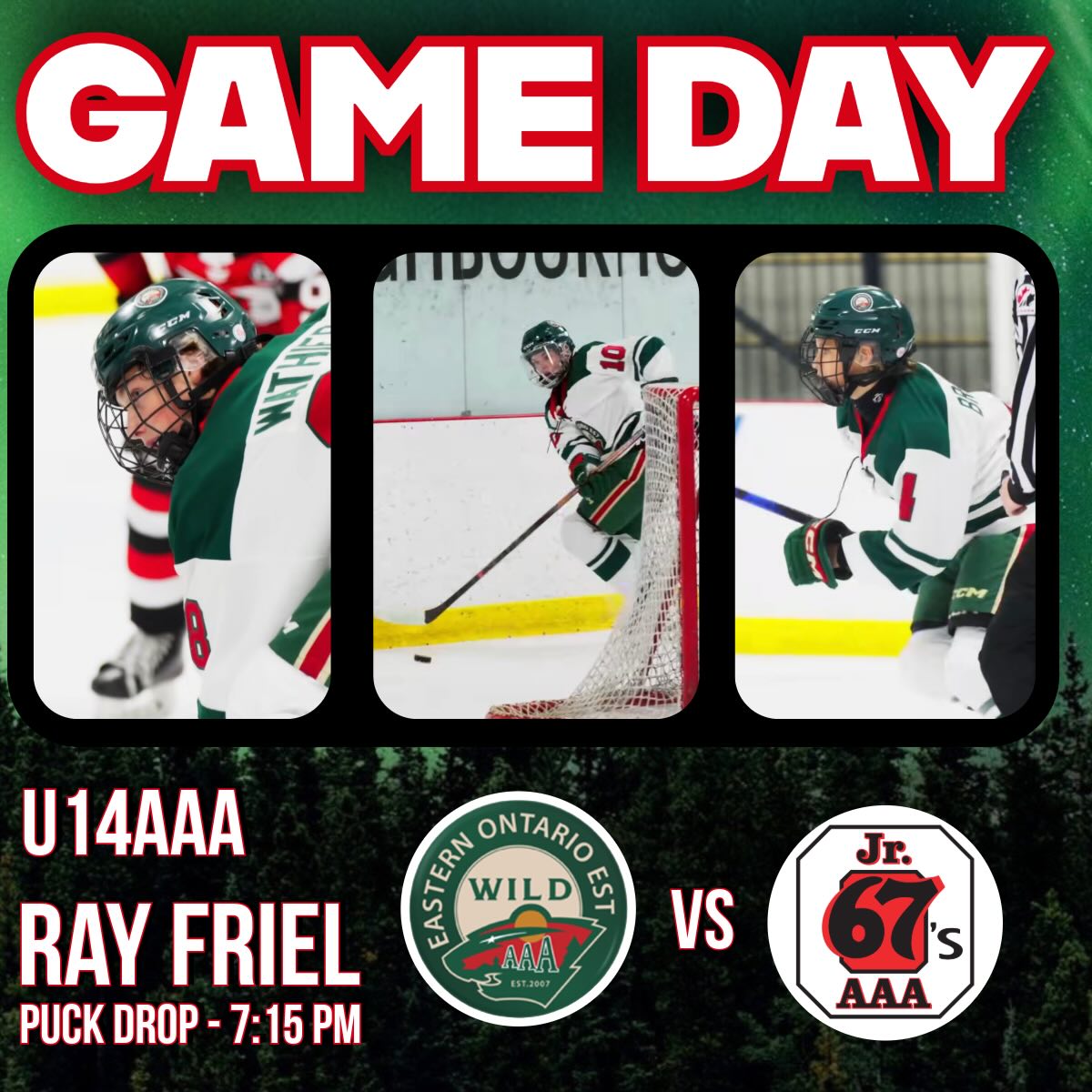 EO WILD AAA U14-2012