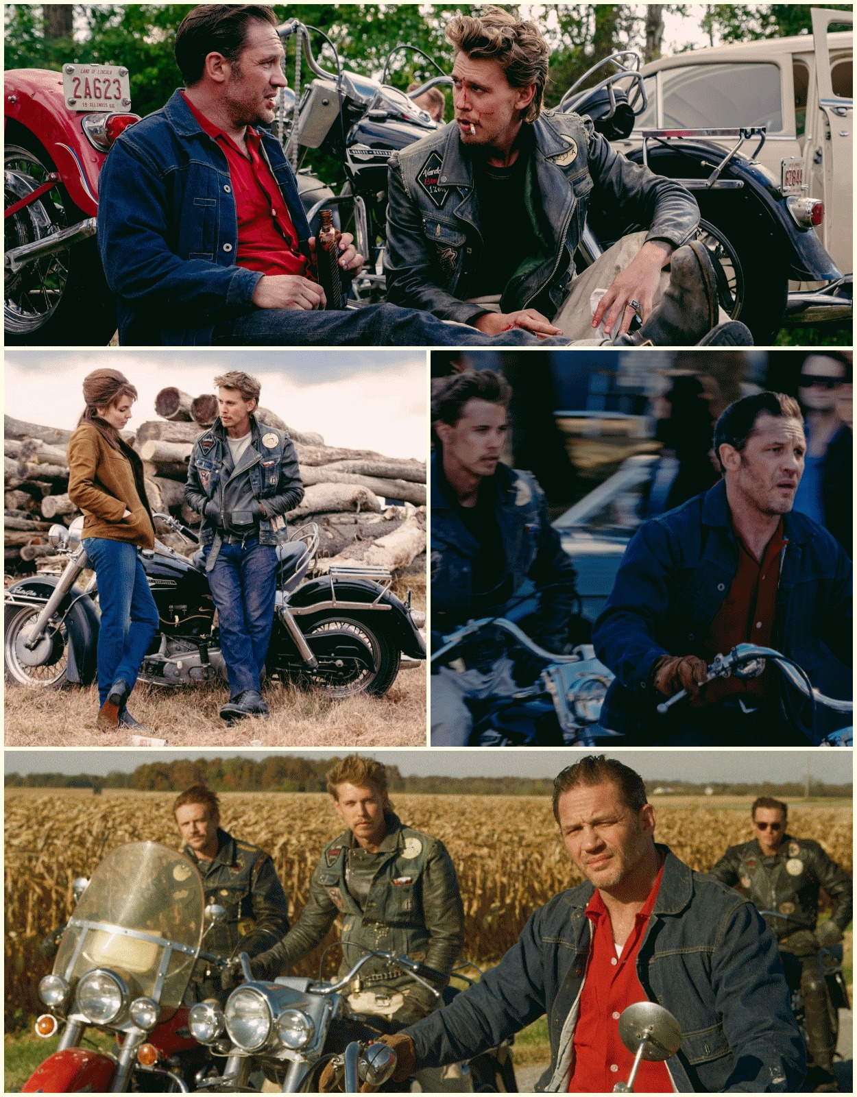 Wild - The Bikeriders (2023) 🏍️ Watch now: https://tv.apkclass.info/540 ...