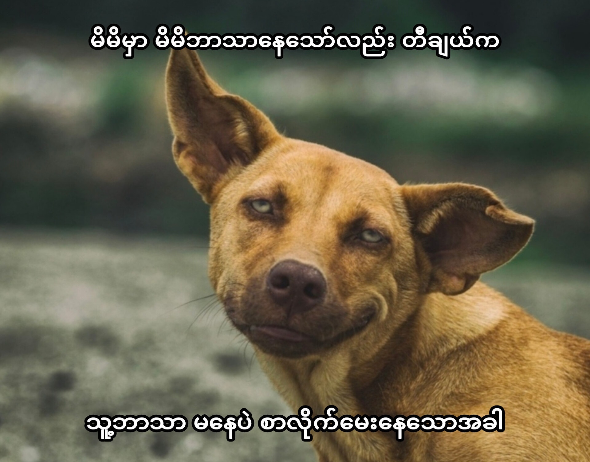Zin Mar Pyone