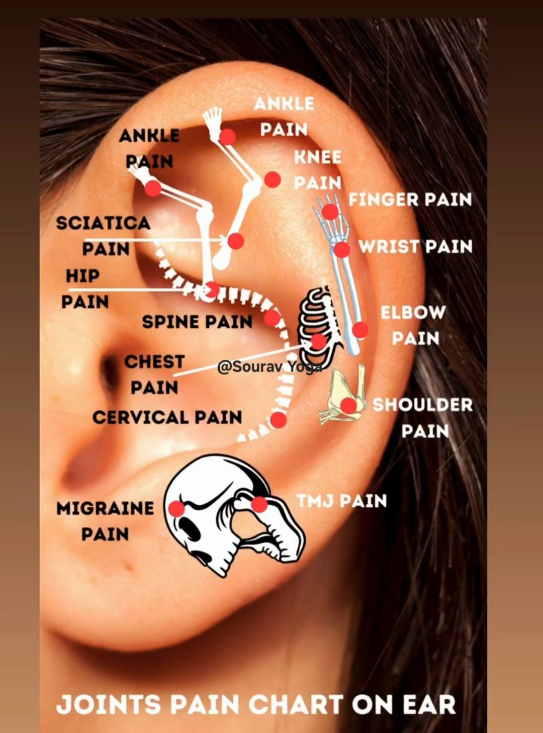 Sourav - Ear acupuncture points ️ Sourav Yoga have been widely known to ...