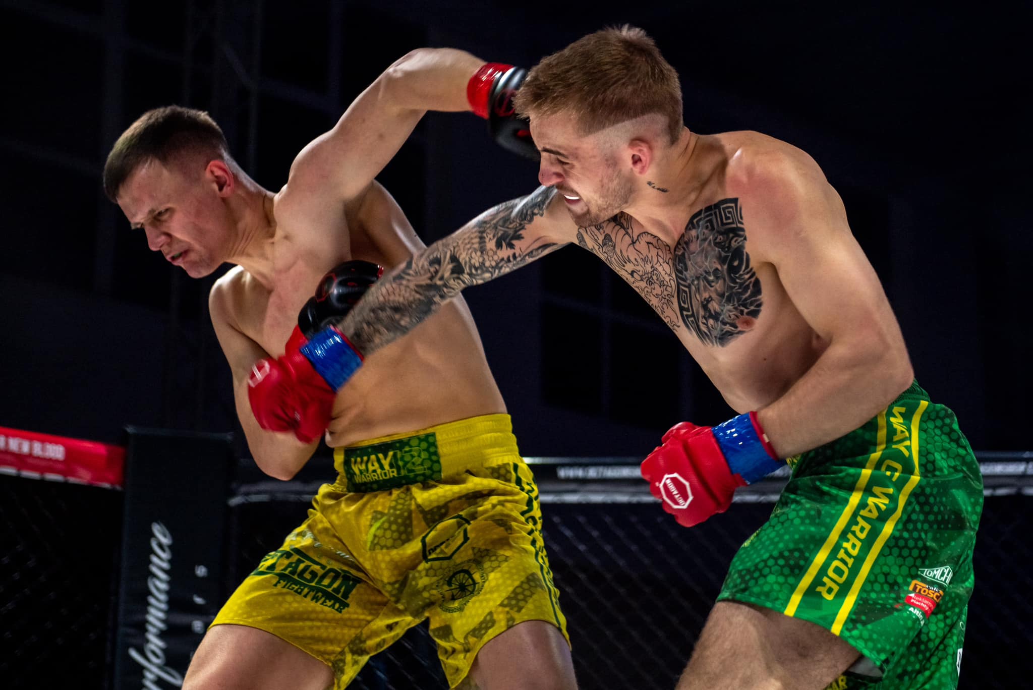 Way of Warrior - New blood - 🔥 MMA 3x3 min., -70kg: Pavel Holáň 🇨🇿 ...