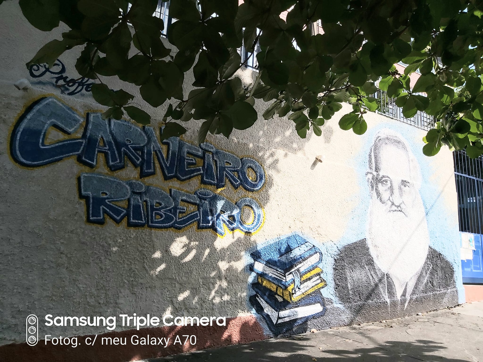 E.M. Professor Carneiro Ribeiro | Rio de Janeiro RJ