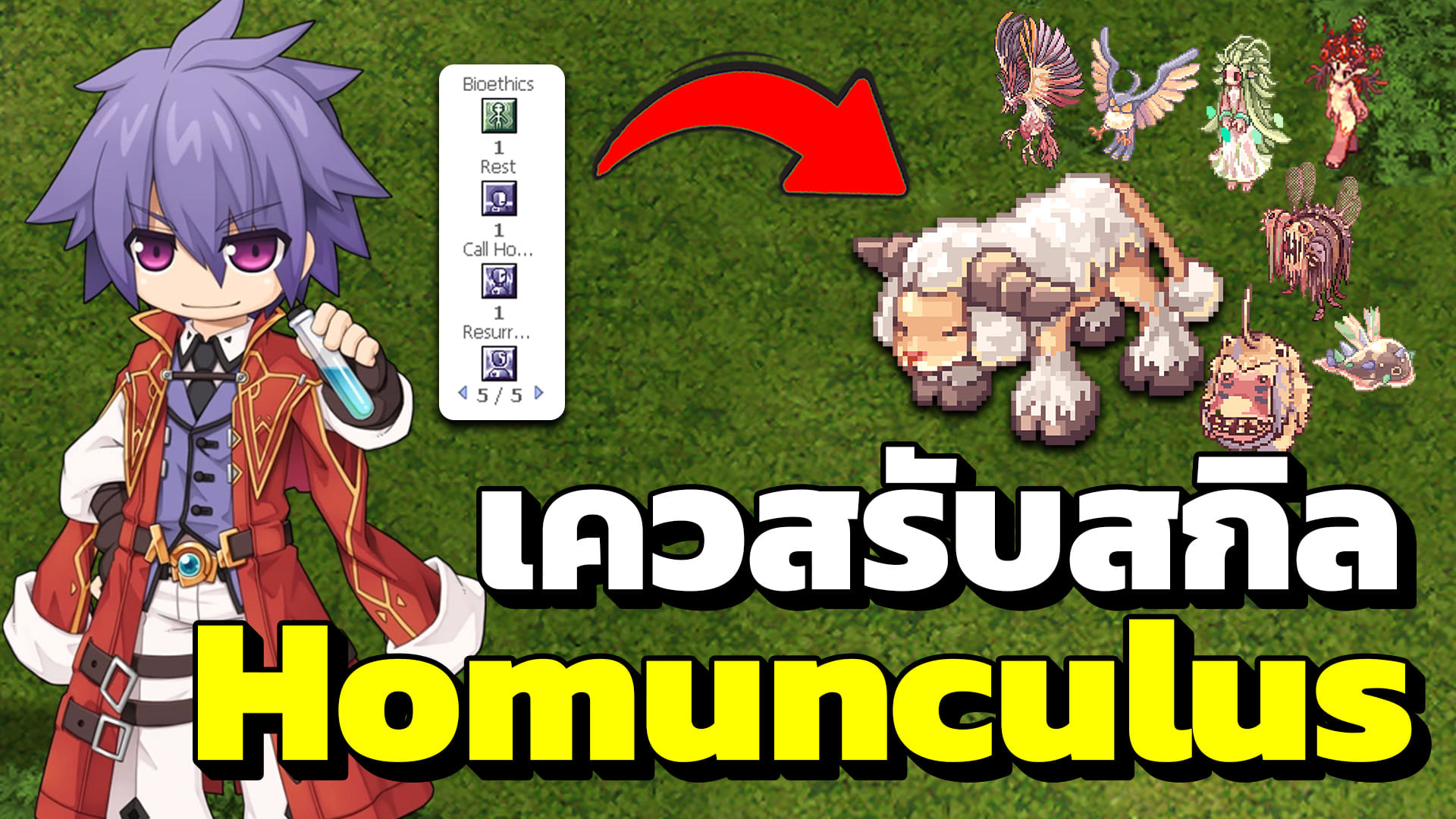 NCZ - 🔥 วิธีทำเควสรับสกิล Homunculus ทำง่าย อัปเดตล่าสุด! | RO 👉ดูคลิป ...