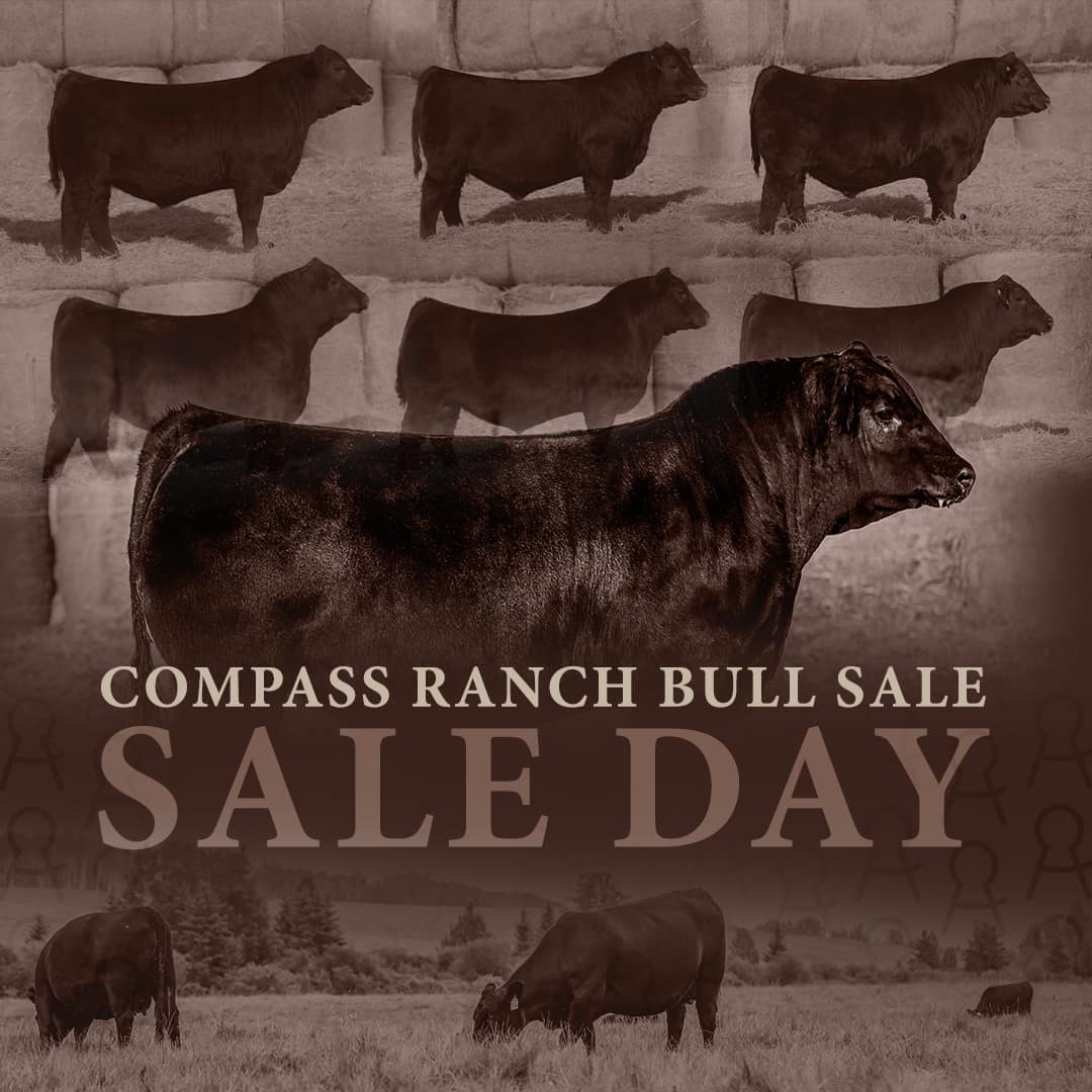 Compass Ranch | Calgary AB