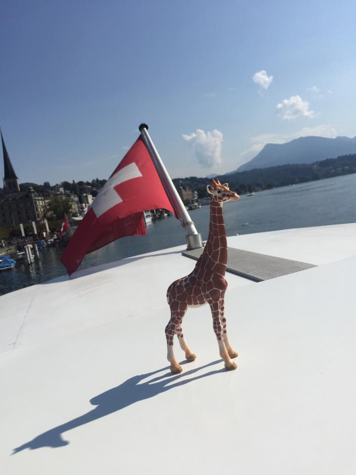 The Amazing Adventures of Mr Gee Raffe