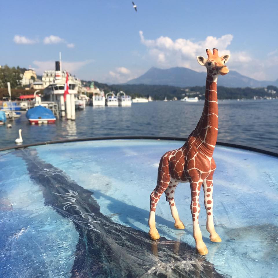 The Amazing Adventures of Mr Gee Raffe