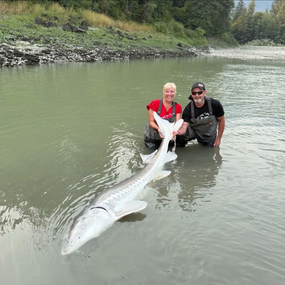Harvesters of Alaska | Not something I’m picking but I’ve got several ...