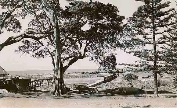Shellharbour - Little Park Shellharbour, Boat store , timber jetty ...