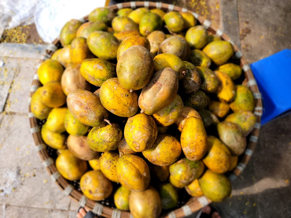 Cóc chín Hà Nội | Facebook