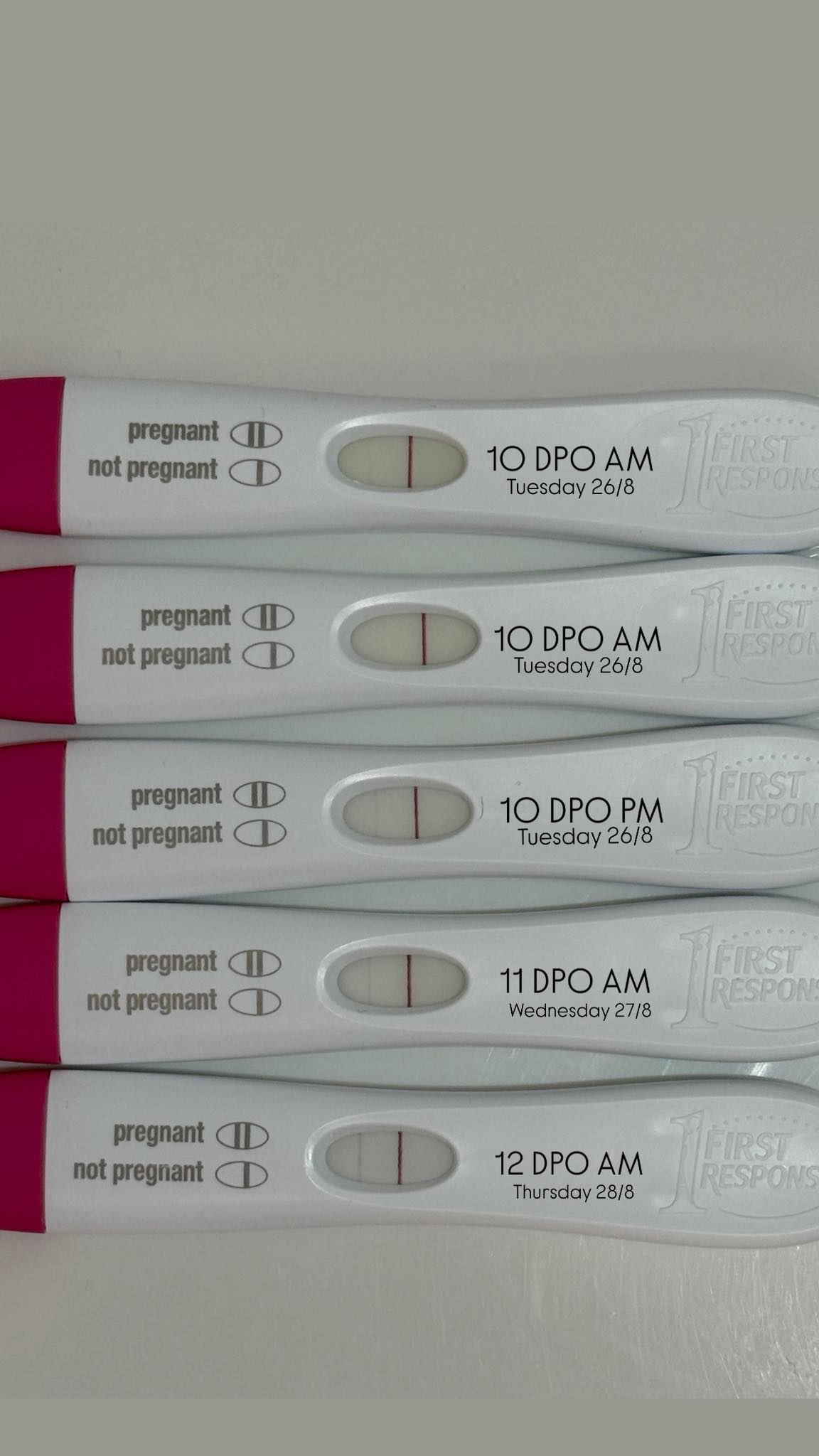 8 Dpo Pregnancy Test Progression Pregnancy Test 480x640