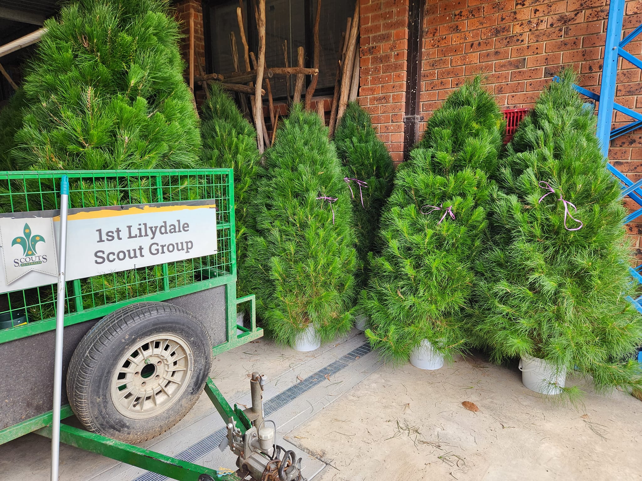 1st Lilydale Scout Group | Lilydale VIC