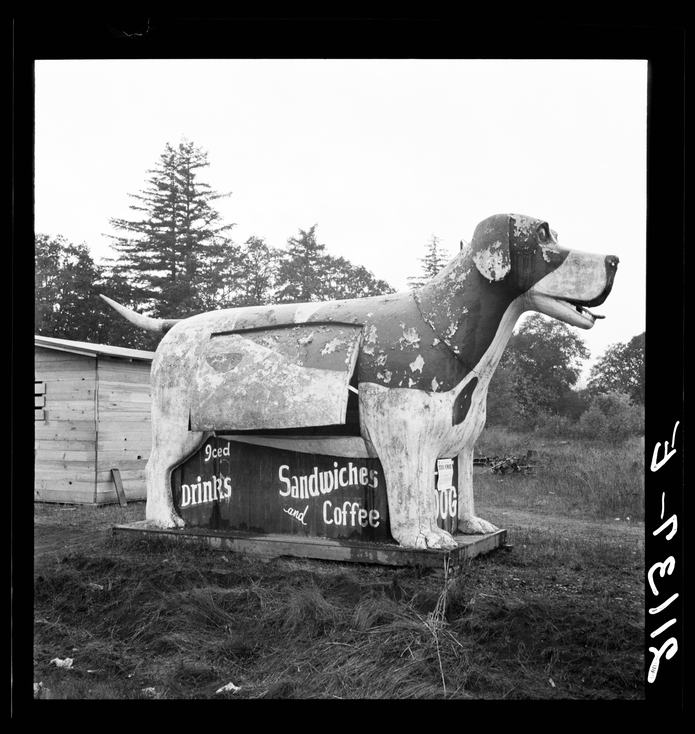 Happy National Dog Day! Here's a great old roadside snack bar once