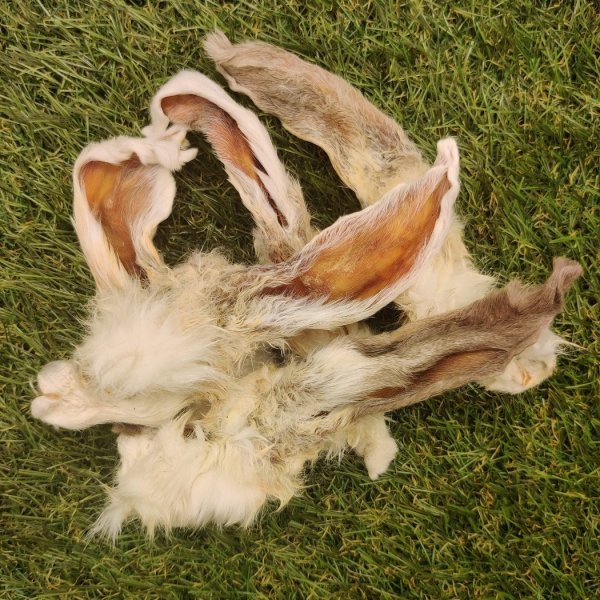 Natural Rabbit Ears with Hair Give... - Nurturing by Nature | Facebook