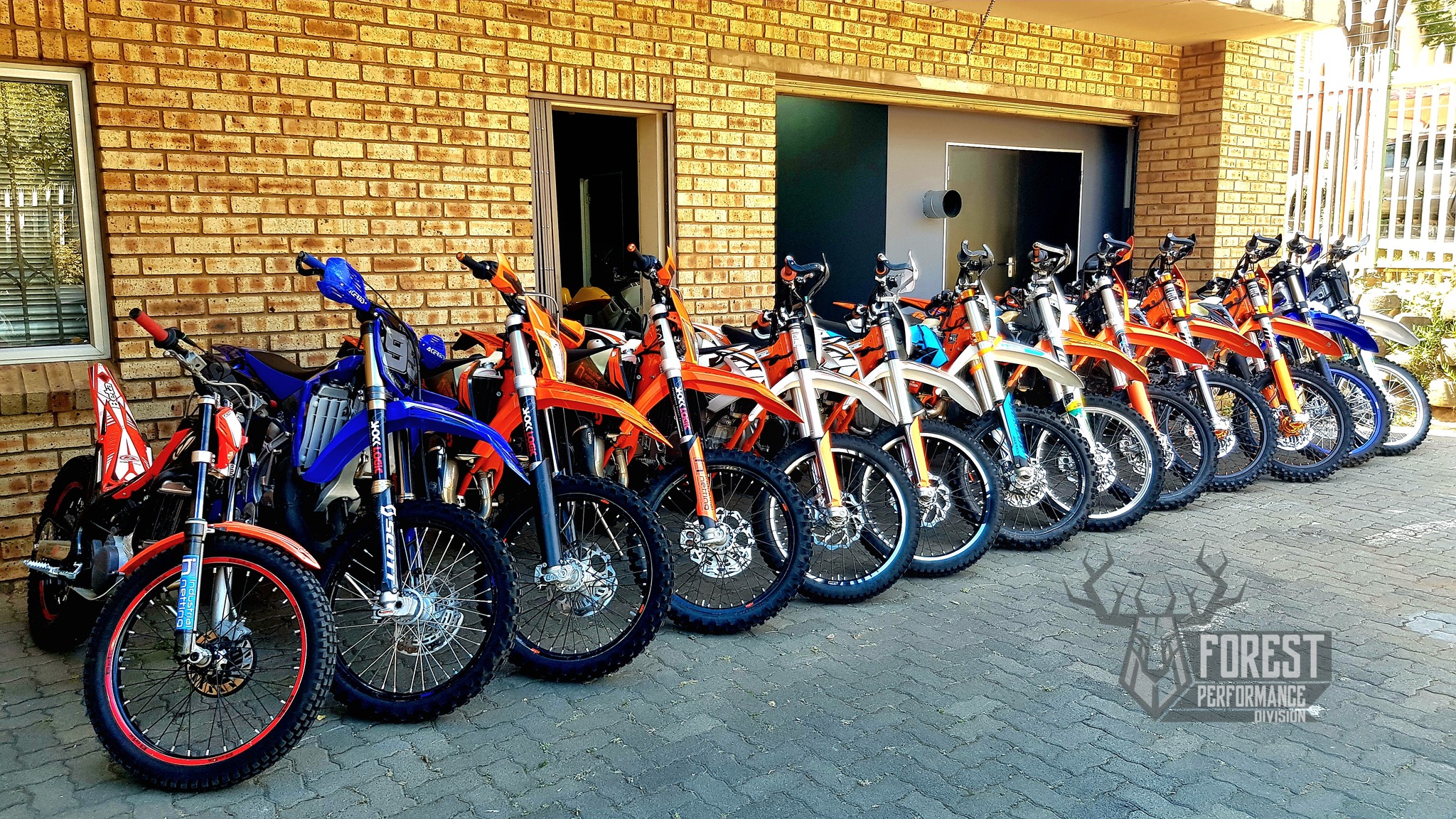 Forest Performance & Distribution Division | Sandton
