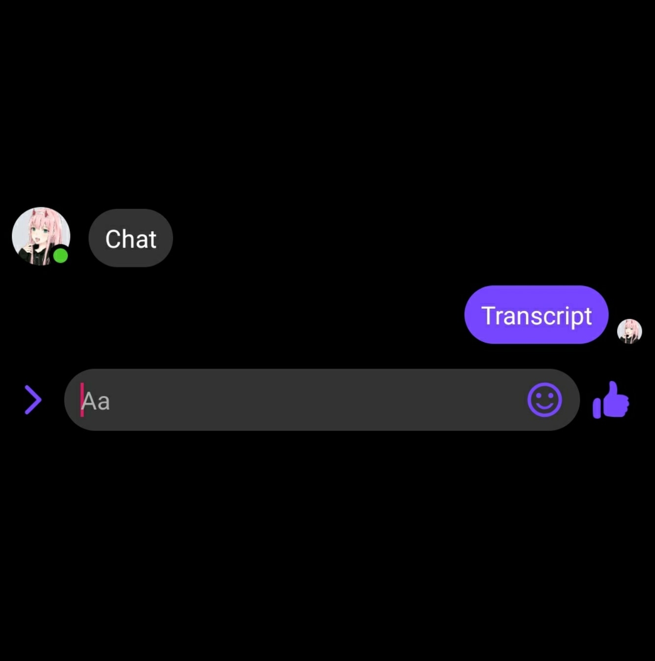 Chat transcript