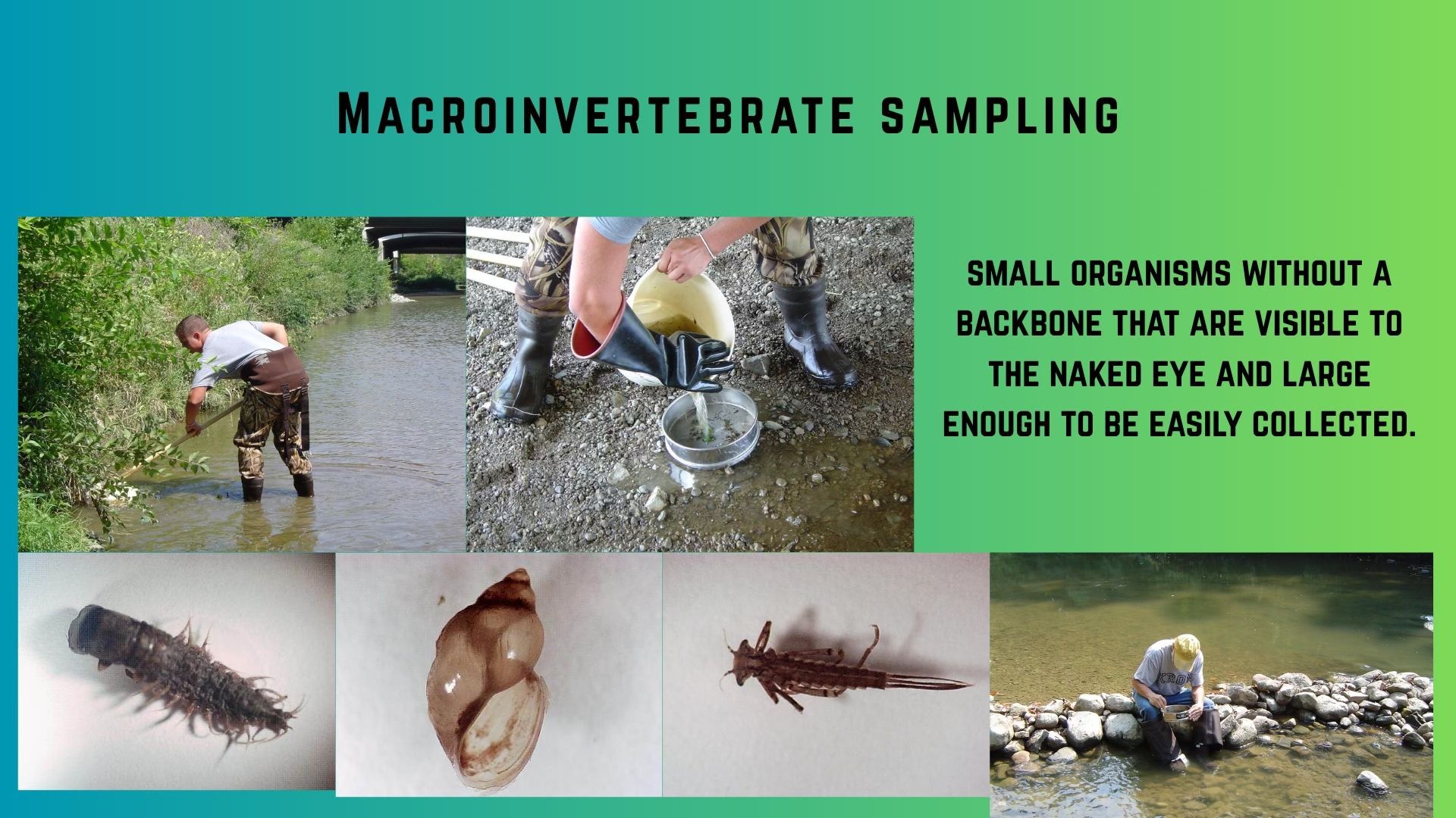Marion - The Water Quality Department has started their annual ...