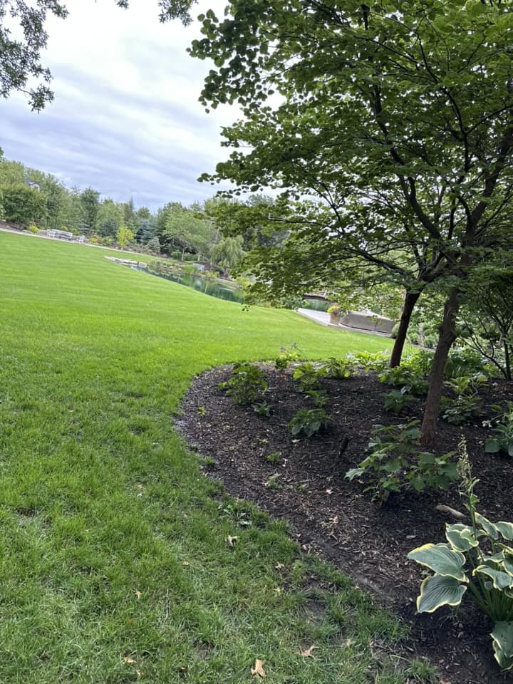 Quality Lawn Care Services | Lincoln NE