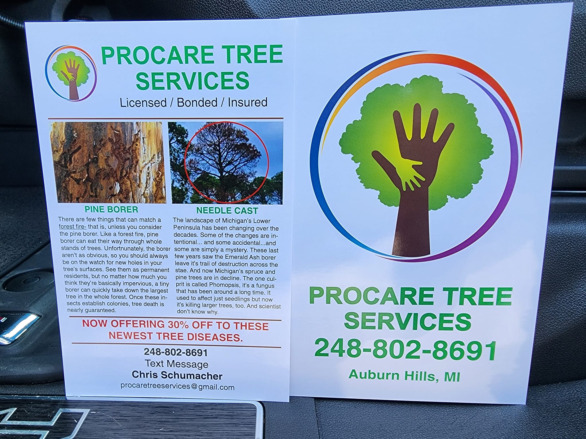 ProCare Tree services | Auburn Hills MI