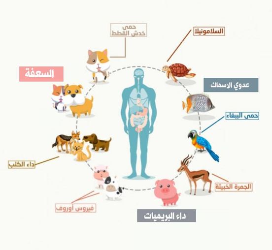 الموسوعة - الإنسان من بداية ظهوره على الأرض وهو بيتعامل مع... | Facebook
