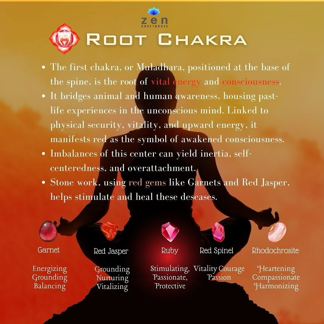Zen Craft House - 🌿 Exploring the power of the root...