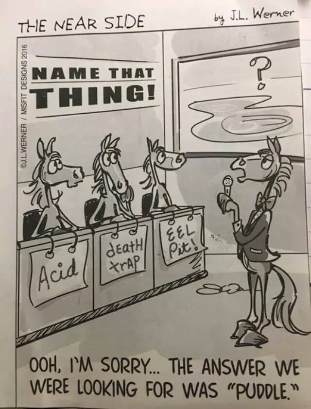Barrel Racer Memes