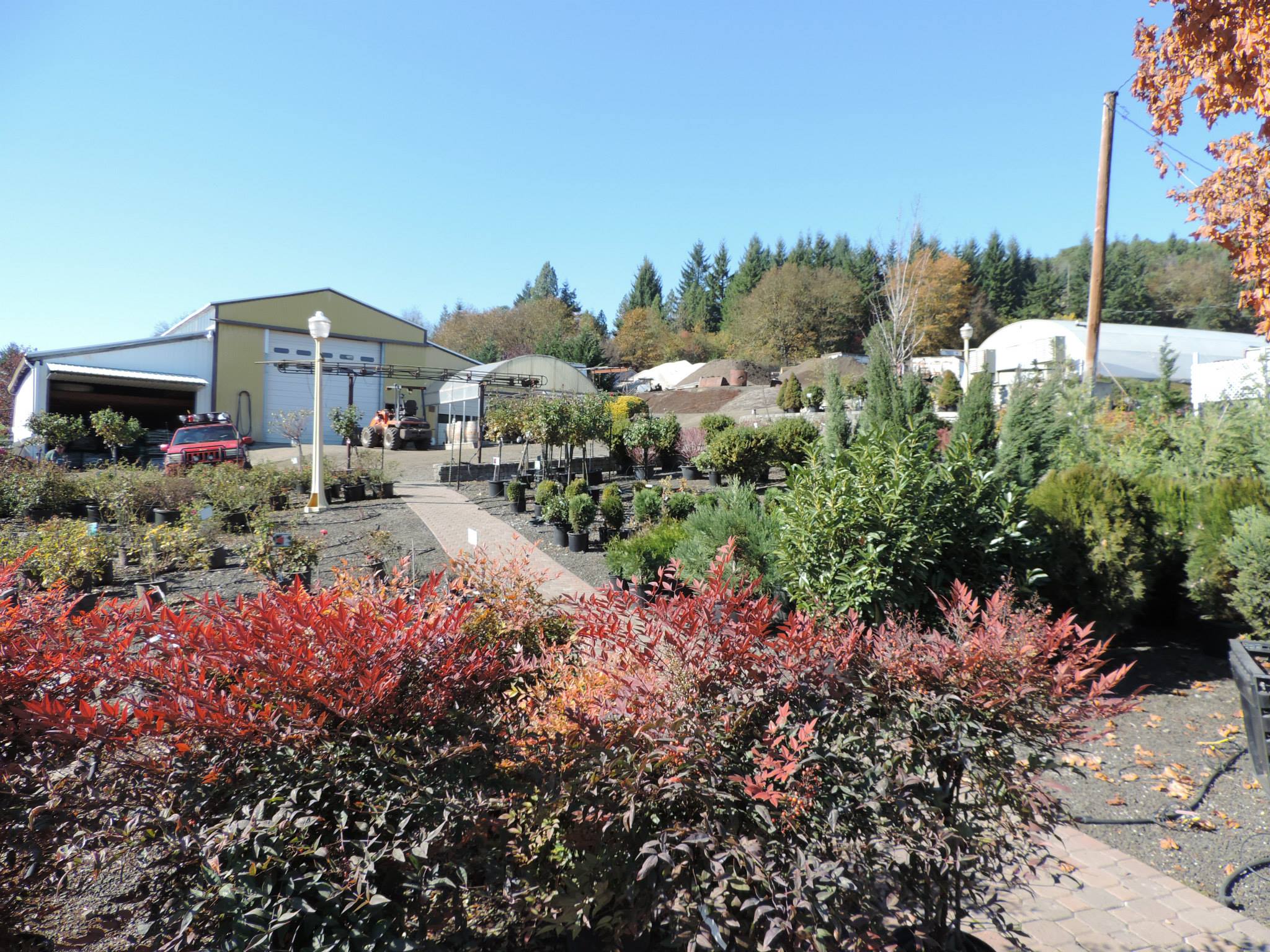 Mignola Farms | Roseburg OR