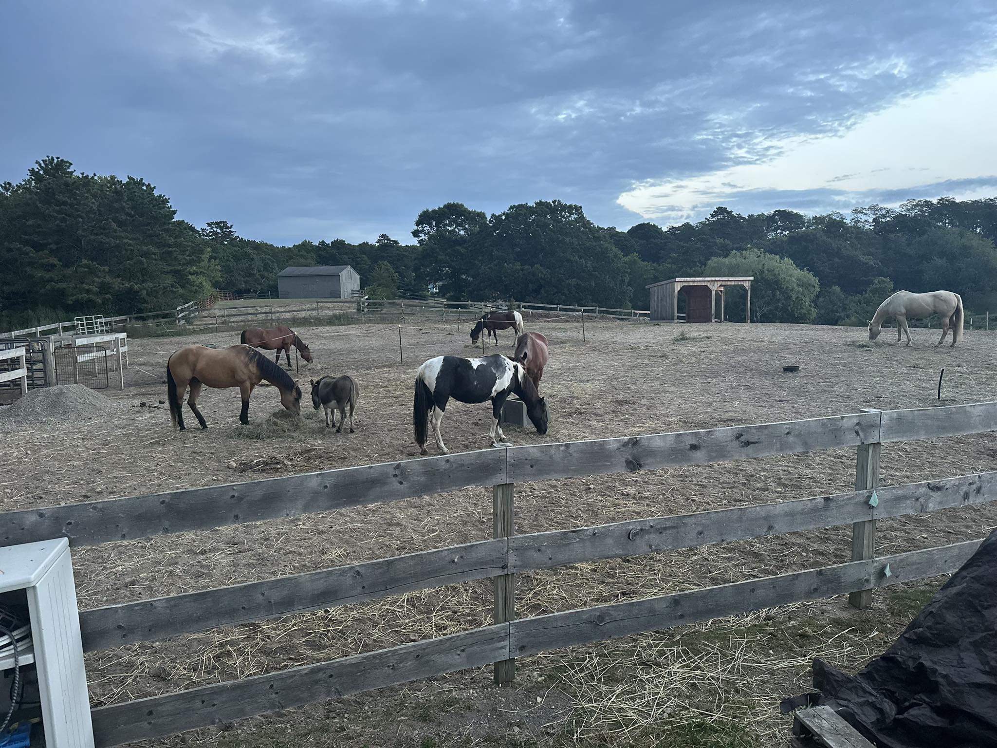 Red Pony Ranch