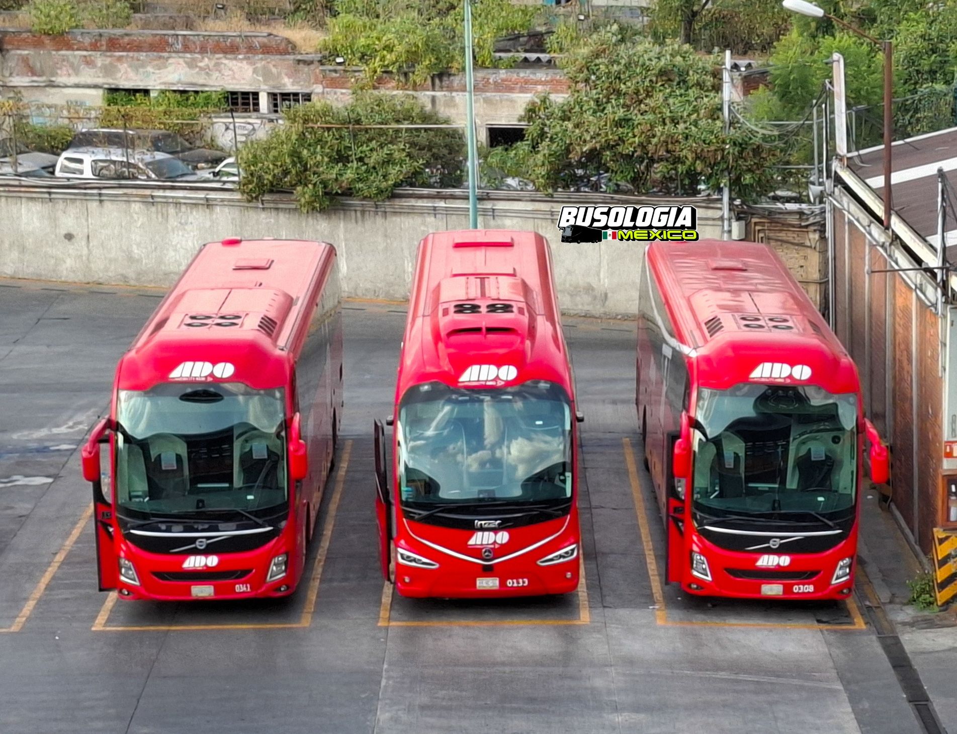 Pasión por los Buses MX - Galería rodante conmemorativa al Estado de ...