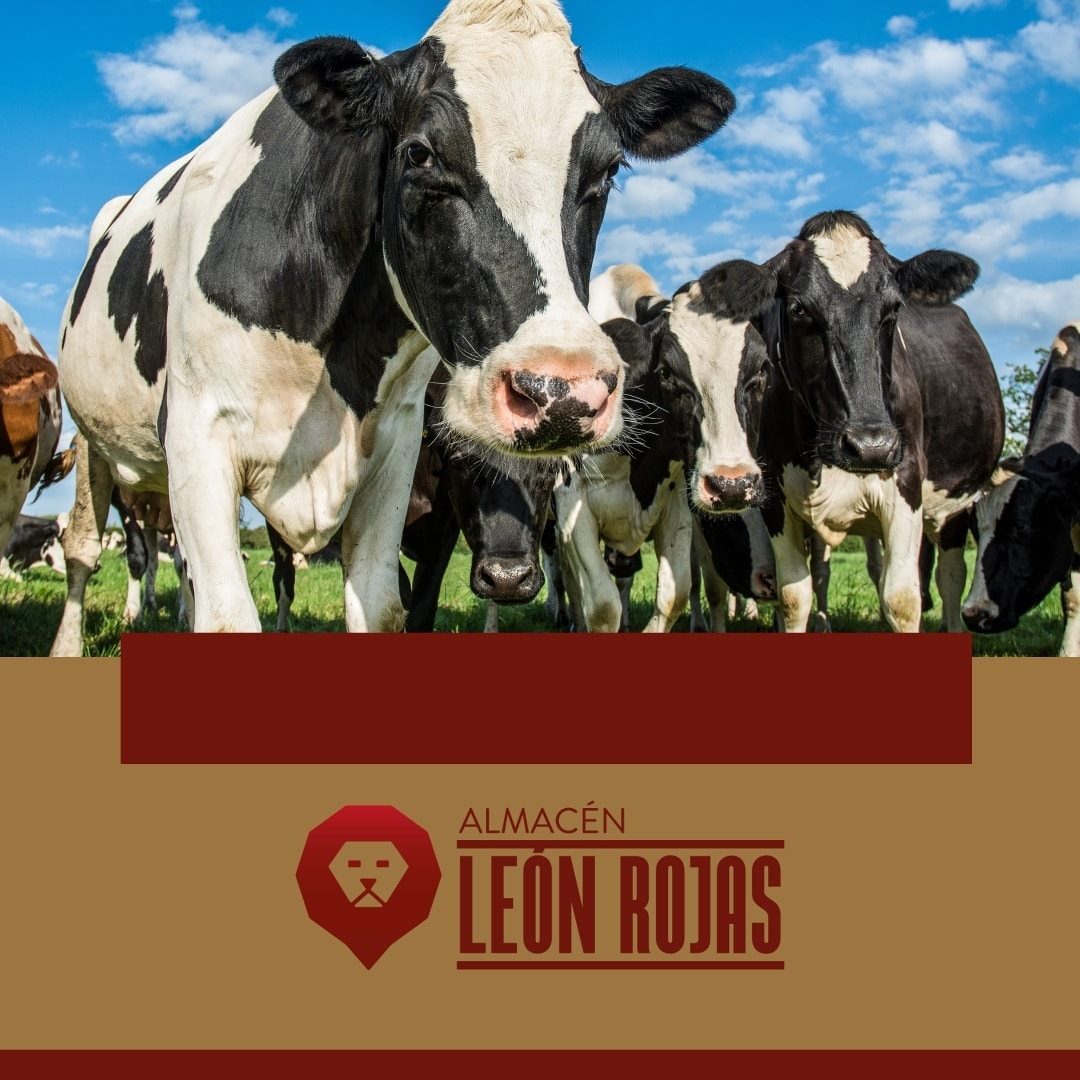 Tenemos la línea de productos para la... - Almacén León Rojas