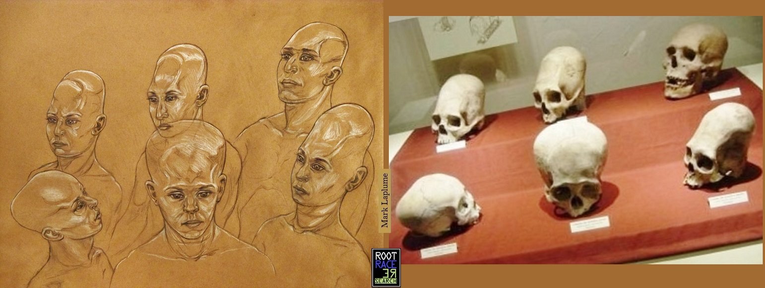 Take #2. Strange group of skulls from... - Root Race Research