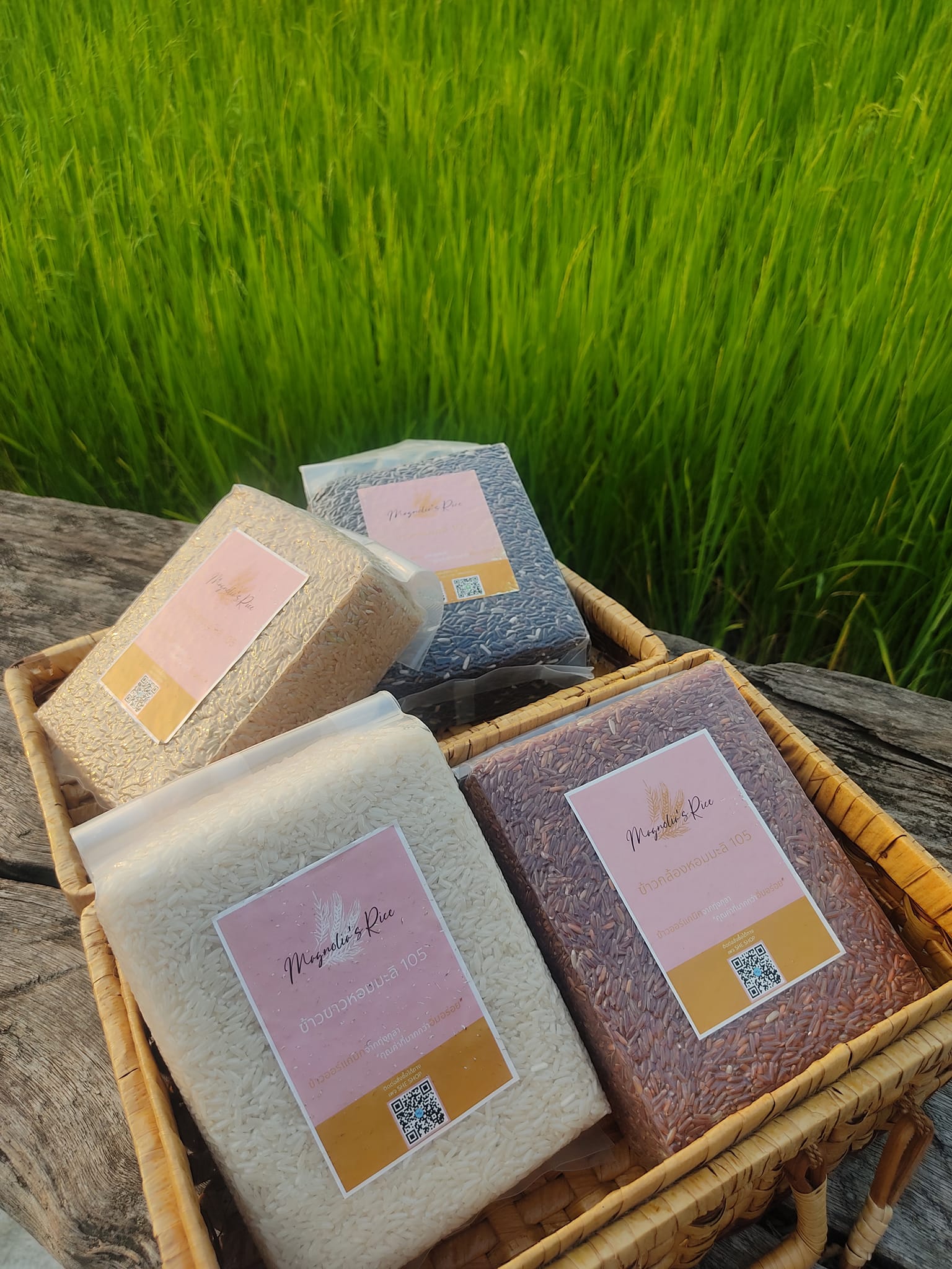 SHE SHOP - Magnolia’s Rice 🌾 ข้าวหอมมะลิ 105... | Facebook