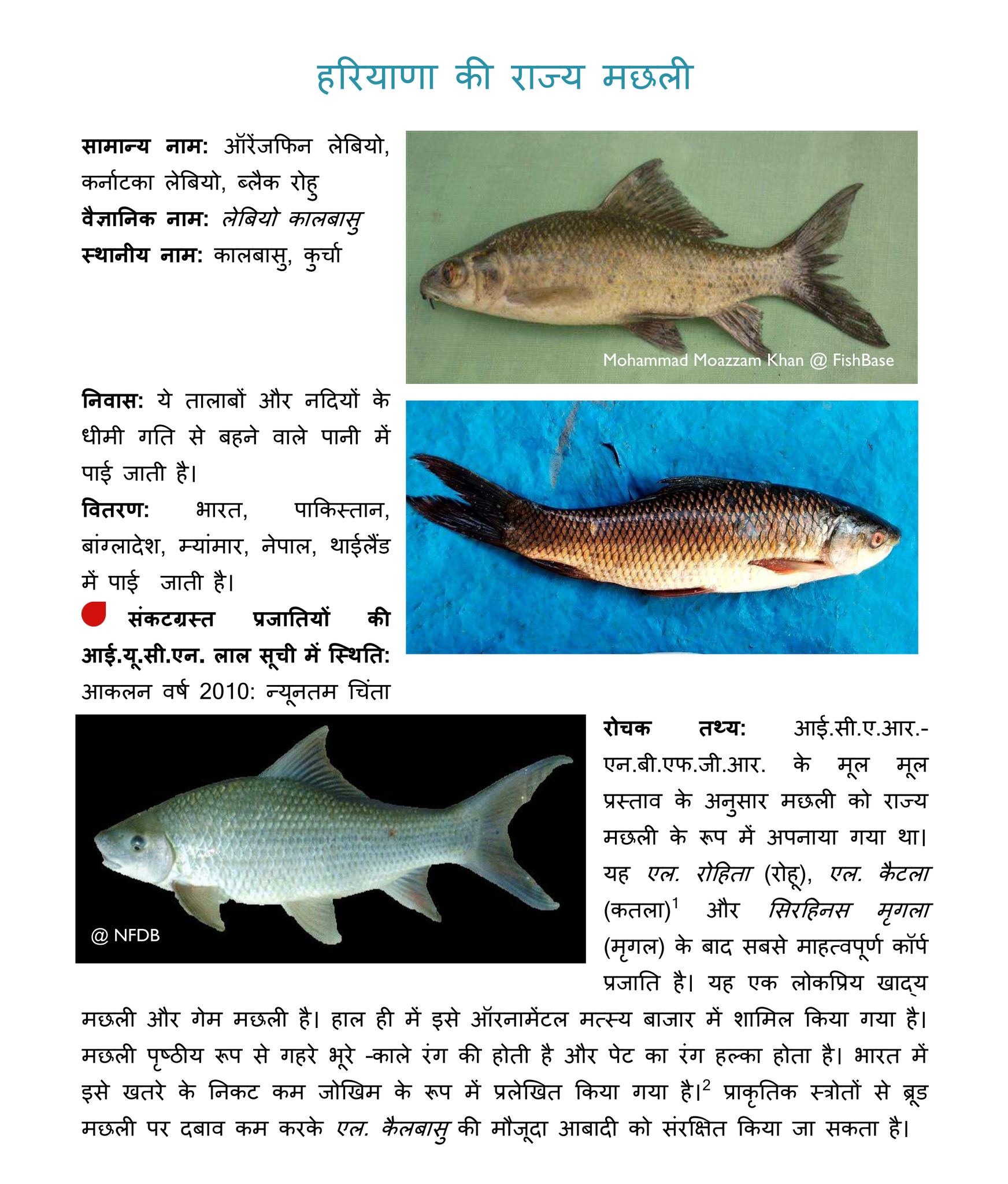 Do you know?... - National Fisheries Development Board - NFDB