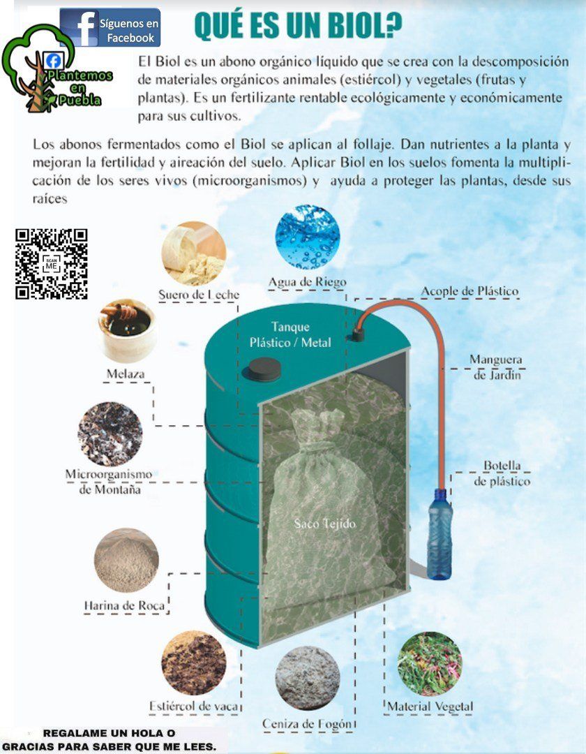 Plantemos - Cómo los abonos orgánicos recuperan la vida microbiana del ...